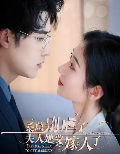 热播电视剧长夜灯明全集免费观看